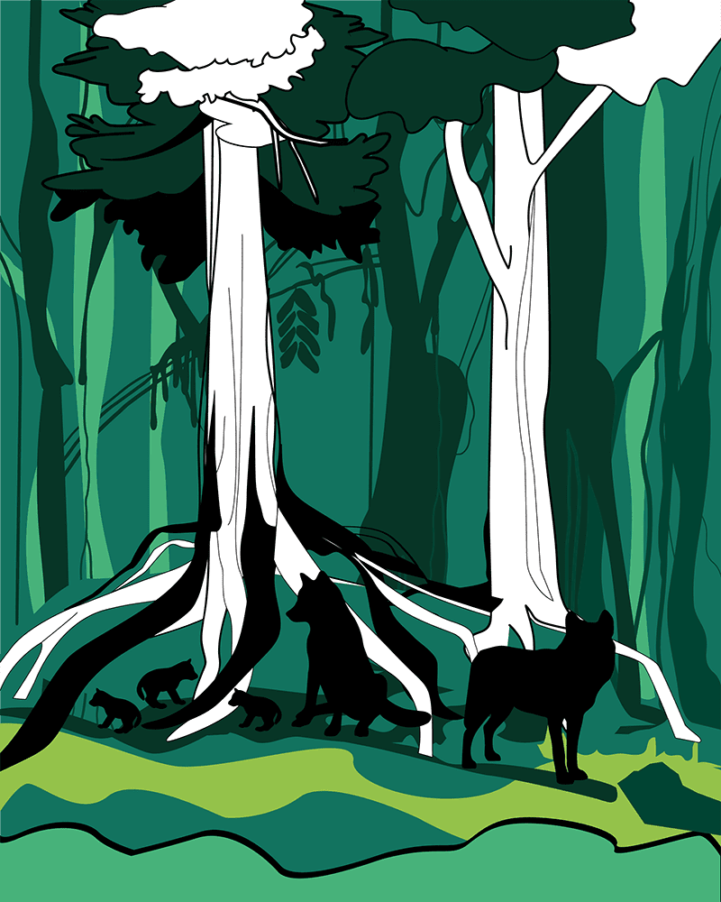 Nursery of the wolves
