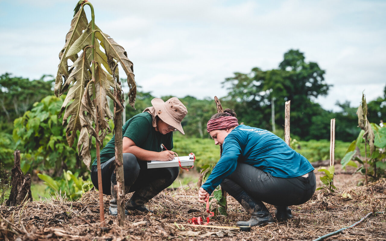 Local Project Group in the Agroforestry Project