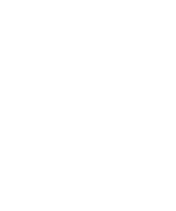 Illustration: Seedling